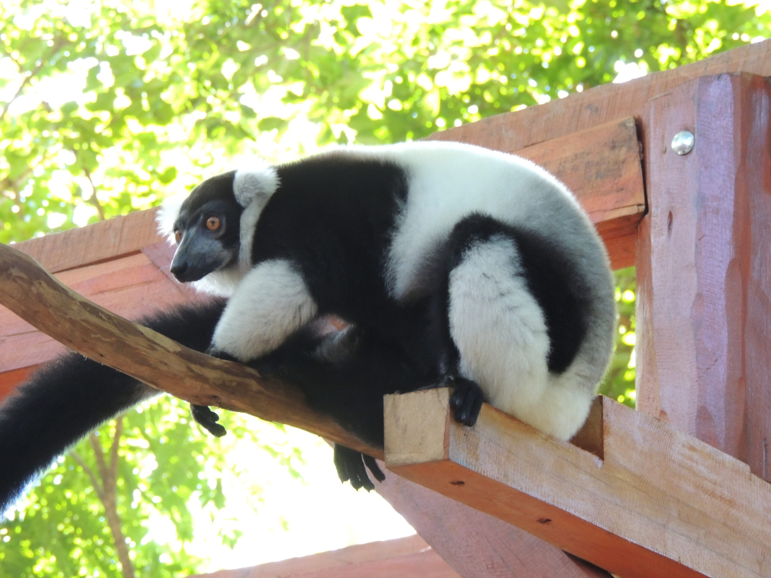 5 Meilleurs endroits à visiter à Madagascar